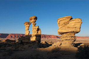 Viaja con nosotros, la agencia de turismo que despierta emociones, 